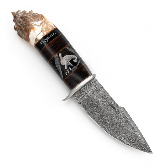 PAPPOCETUS KNIFE