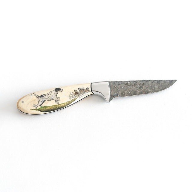 English setter with quail knife