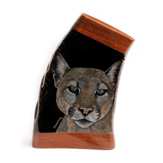 Puma Horn Section